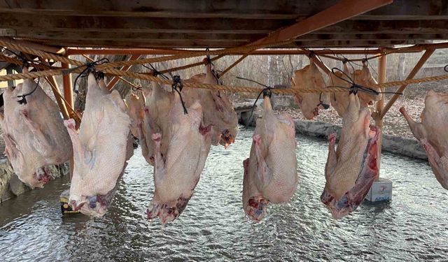 Kars kazı geleneksel yöntemlerle kurutuluyor