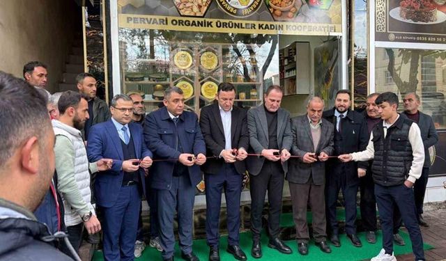 Siirt’te 12 kadın kooperatifleşti