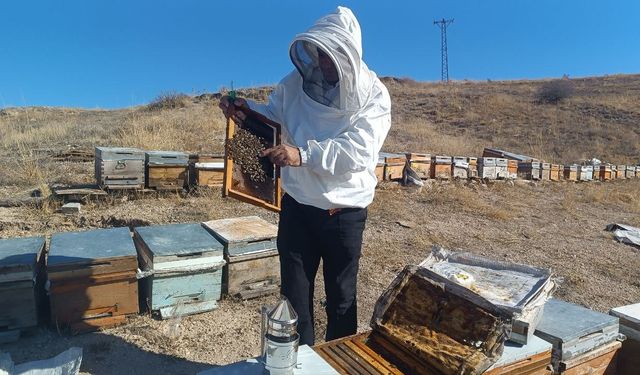 Kışa hazırlanan üreticiden sahte bal uyarısı