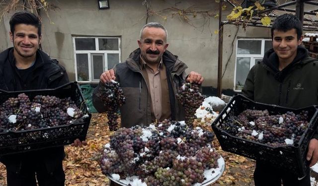 Türkiye-Irak Sınırında Kara Kışa Meydan Okuyan Lezzet: “Kışlık Üzüm” Gün Yüzüne Çıktı