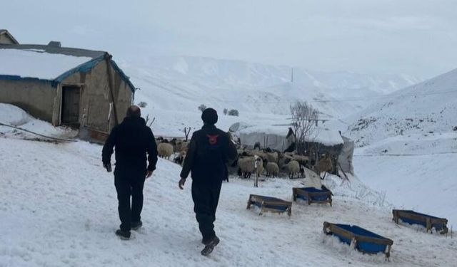 Yüksekova’da küçükbaş hayvancılık işletmelerine ziyaret