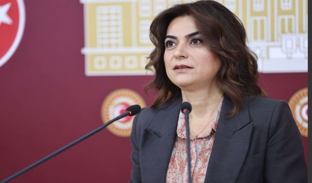 DEM Parti, TBMM’deki taciz iddiaları için araştırma istedi