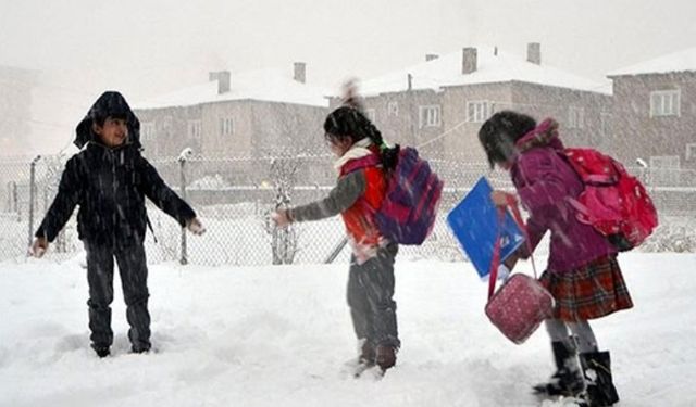 Hakkari’de okullar 1 gün tatil edildi