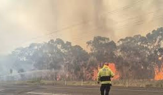 Avustralya’da devam eden orman yangınlarında itfaiye görevlisi öldü