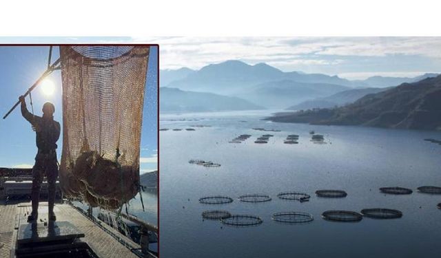 Denizi olmayan Tokat’ın somonları dünya sofralarına ulaşıyor