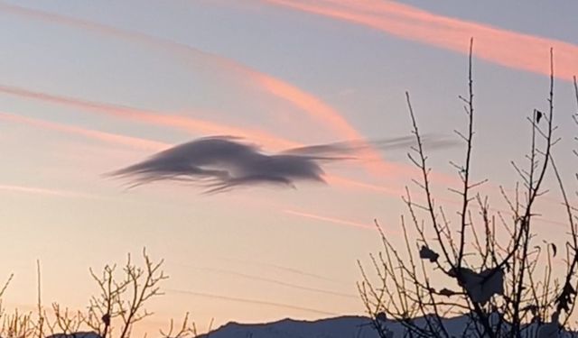 Yüksekova’da gökyüzünde doğa şöleni: Bir bulut onlarca silüet