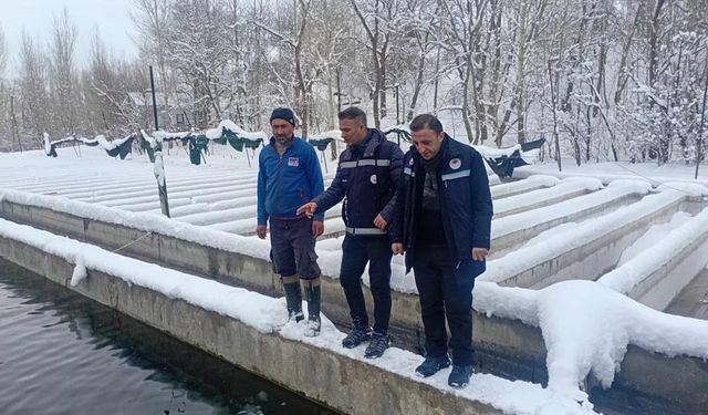 Van’da zorlu kış şartlarında alabalık üretimi mercek altında