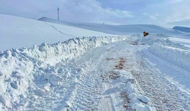 Kar kalınlığının yer yer 2 metreyi bulduğu bölgede yol açma çalışması