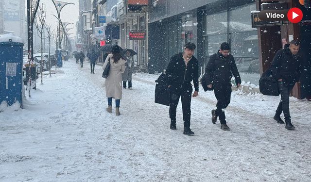 Yüksekova’da kar yağışı hayatı olumsuz etkiledi