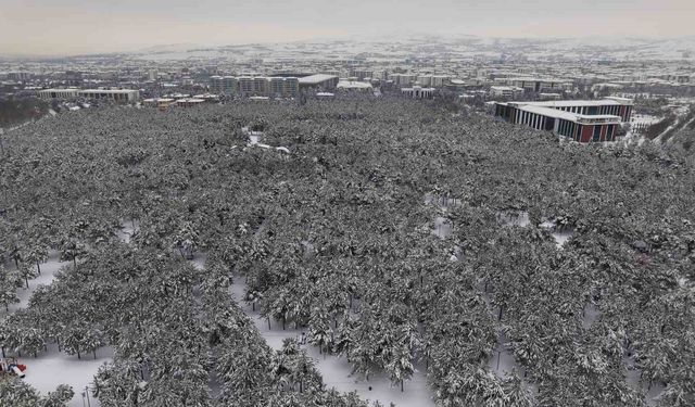 Elazığ’da beton yığınlarının arasındaki beyaz vaha mest etti