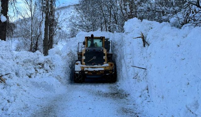 Yüksekova’da çığdan kapanan köy yolu ulaşıma açıldı