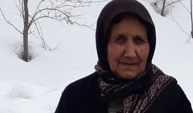 Gazeteci Harmancı’nın acı günü