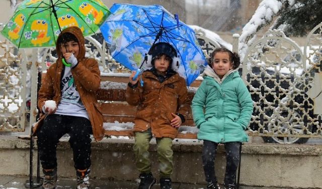 Hakkari ve ilçelerinde okullar tatil edildi