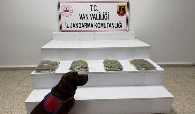 Van’da 5 kilo 250 gram kubar esrar ele geçildi