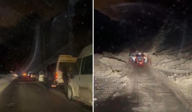 Hakkari–Van Karayolunda Çığ Paniği