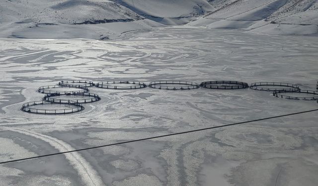 Van’da Sibirya soğukları: Dev barajlar buz tuttu