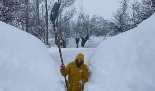 Ovacık’ta besicilerin zorlu kış mesaisi