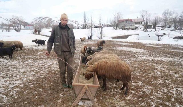 Muş’ta kış ve bahar aynı anda yaşanıyor