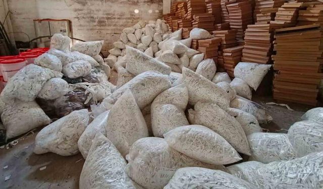 Şanlıurfa’da 14 milyon TL değerinde 40 milyon makaron ele geçirildi