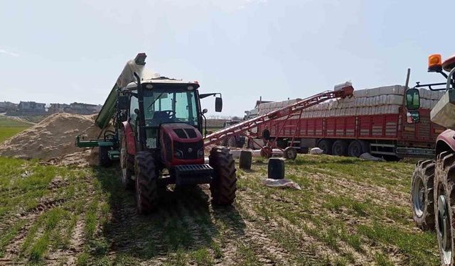 Siirt’te silahla oynayan kişi kazara kendini vurdu
