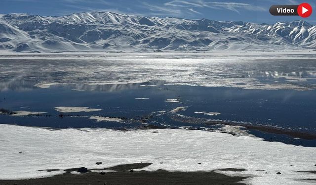 Nehil Sazlığı’nda buzlar çözülmeye başladı