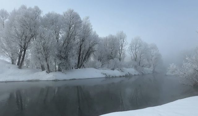 Yüksekova’da Kırağı Ağaçları Beyaza Büründü