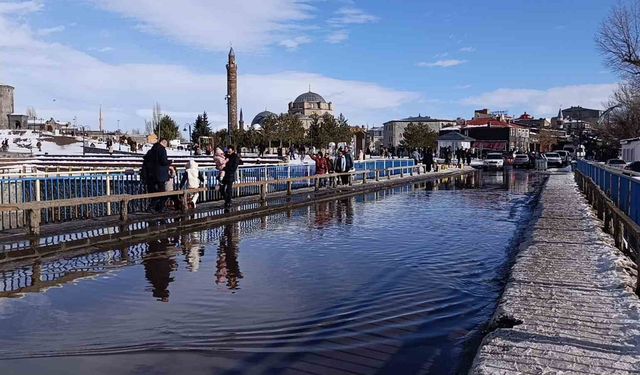 Kars’ta bahar havası: Güneşi gören kendisini dışarı attı