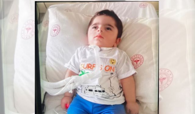 Yüksekovalı Minik Muammer Asaf Düzen Hayatını Kaybetti