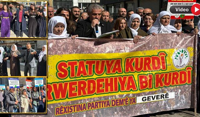 Dünya Anadili Günü Yüksekova'da halaylarla kutlandı