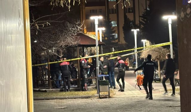 Van’da bir kişi silahla vuruldu