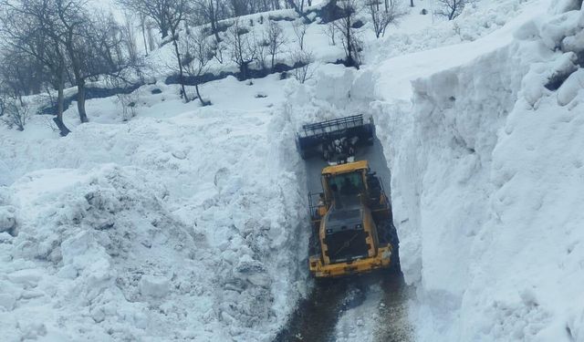Dağlıca’da çığ kabusu: Köy yolları 2 gün süren çalışmayla açıldı