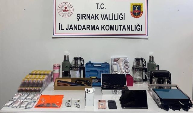 Şırnak’ta son bir haftada jandarma operasyonlarında 15 tutuklama