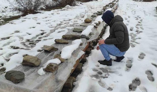 Birincilik getiren arılarını kış şartlarında özenle koruyor