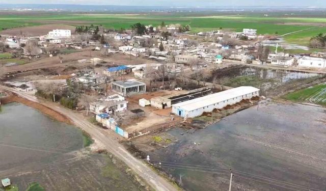 Şanlıurfa’da şiddetli yağışlar tarlaları göle çevirdi