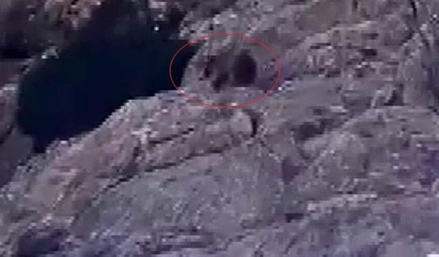 Kış uykusundan uyandı, kar üstünde yiyecek aradı