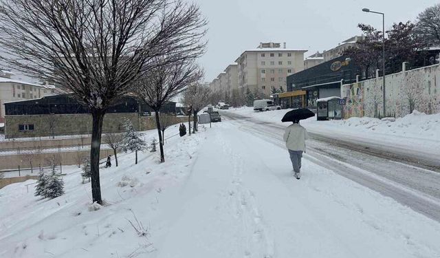 Van’da mart ayı kapıdan baktırdı: Kar yağışı ulaşımı durdurdu
