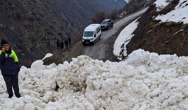 Çatak’ta çığ düştü: 1 mahalle ve 8 mezraya ulaşımı sağlanamıyor