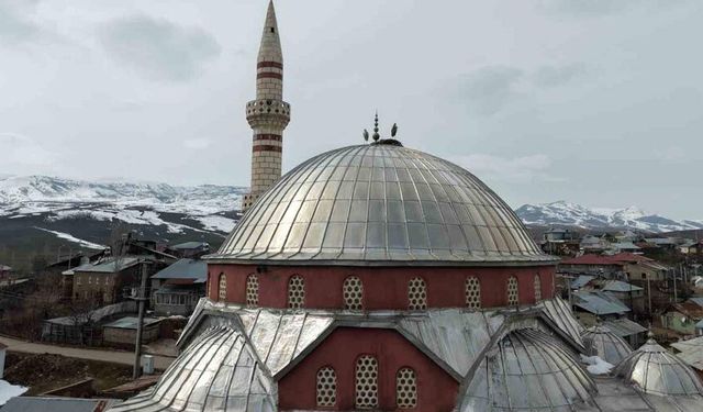 "Baharın habercisi" leylekler Muş Ovası’na gelmeye başladı