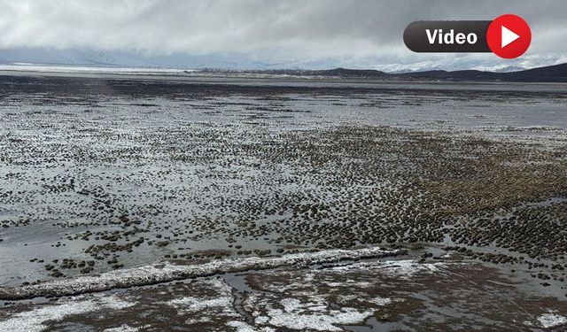 Göle Dönen Nehil Sazlığı Havadan görüntülendi
