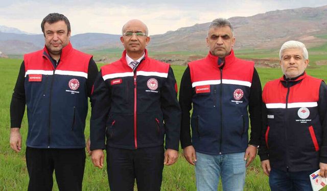 Siirt’te yağışlar yüzde 150 arttı, tarımsal hasıla beklentisi yükseldi