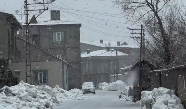 Yüksekova’da Kar Yağışı Etkisini Gösterdi