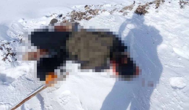 Van sınırında bekletilen cenaze 4 gün sonra alındı