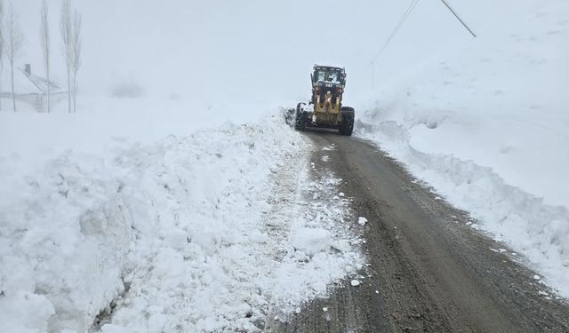 Hakkari’de Kar Yağışı Ulaşımı Olumsuz Etkiledi