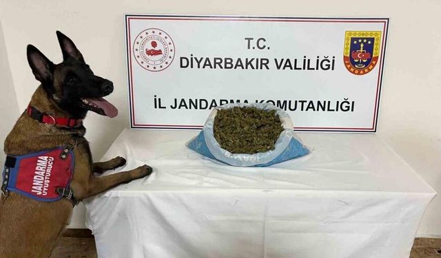 Diyarbakır’da 23 kilo esrar ele geçirildi