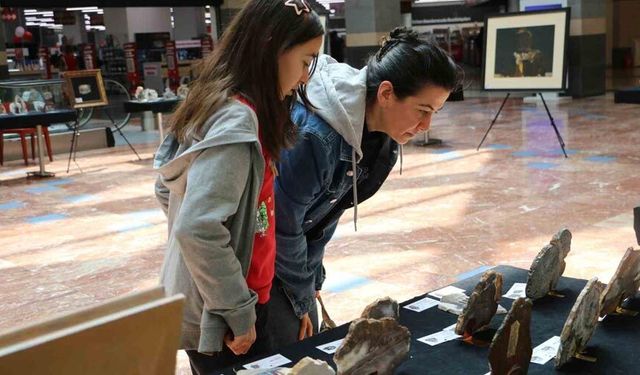 "İl İl Türkiye Sergisi" Diyarbakır’da sanatseverlerle buluştu