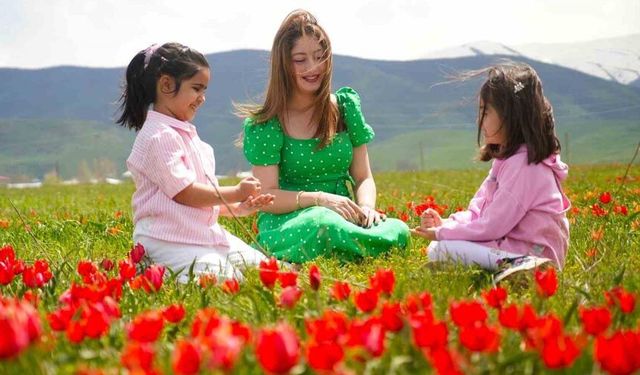 Muş lalesi ovayı kırmızıya boyadı