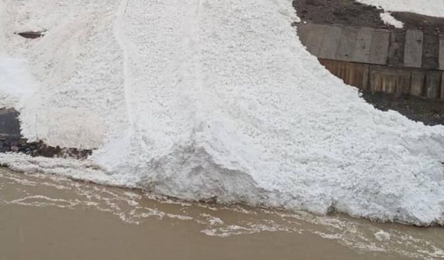 Hakkâri’de çığ: Zap Suyu’nun önünü kesti