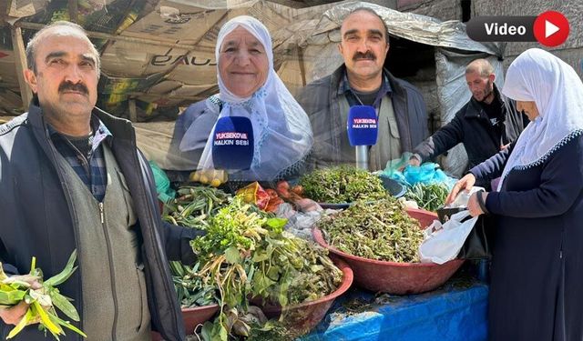 Yüksekova’da Baharın Bereketi Tezgahlara Yansıdı: Doğal Otlar Hem Şifa Hem Geçim Kaynağı