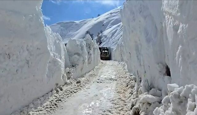 Meteoroloji'den Hakkari için Çığ Uyarısı