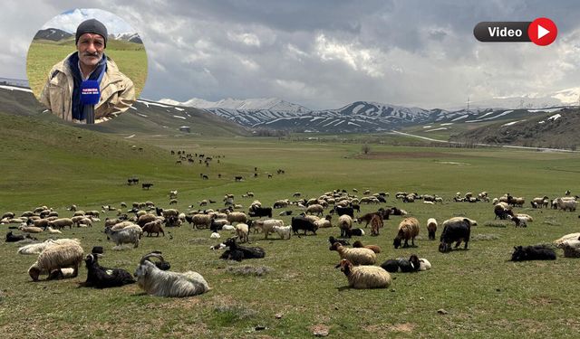 Çoban Ömer’in geçim mücadelesi: “Tek isteğim çocuklarımın okuması”